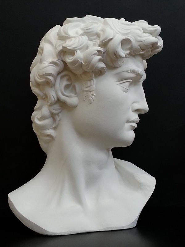 Гипсовая копия головы Давида Микеланджело в профиль