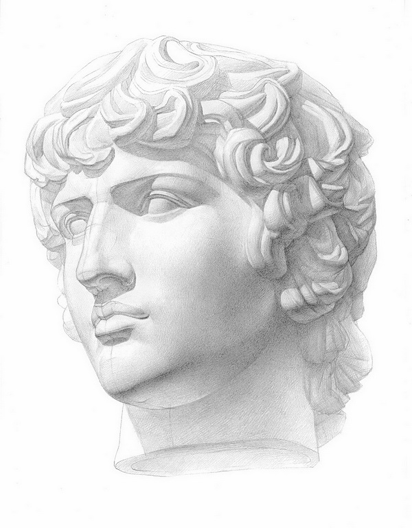 Рисунок гипсовой головы Антиноя с античной скульптуры. ¾ 