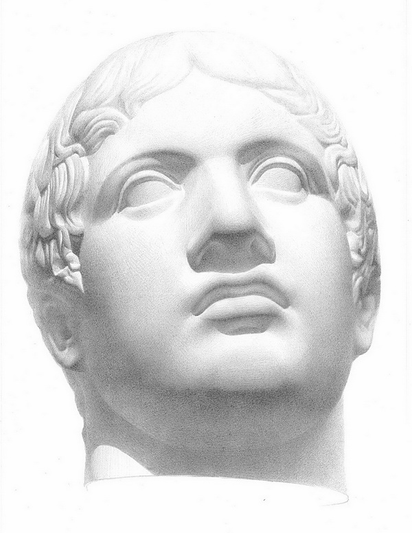 Рисунок гипсовой головы Дорифора с античной скульптуры. Фас