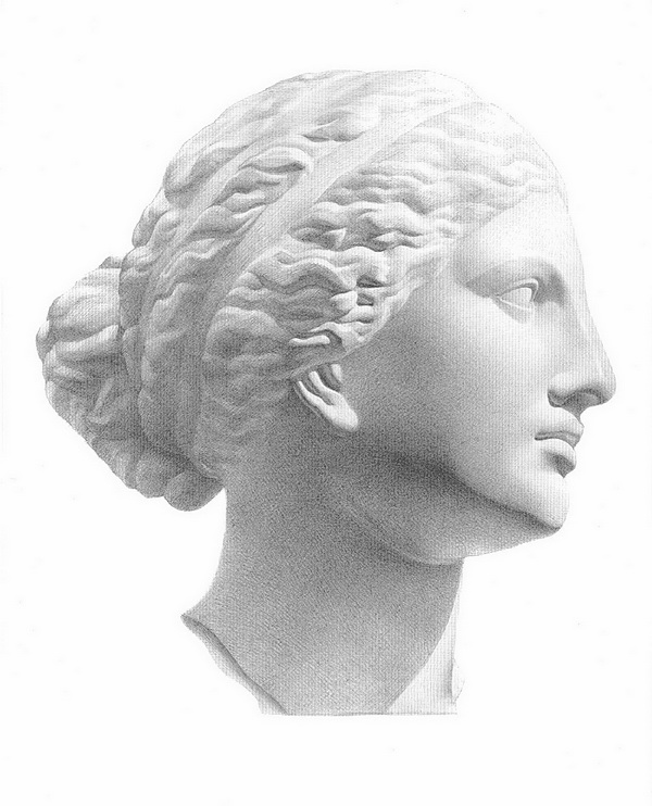 Рисунок головы Афродиты с античной скульптуры. Профиль