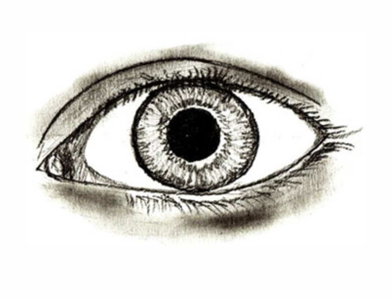 Урок рисования: Как нарисовать глаза человека поэтапно карандашом. 6 этап.