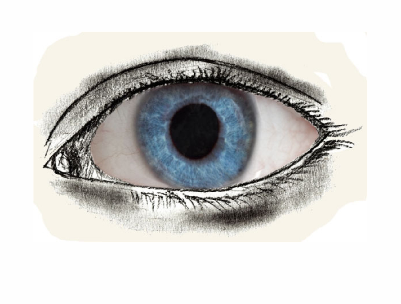 Урок рисования: Как нарисовать глаза человека поэтапно карандашом. 