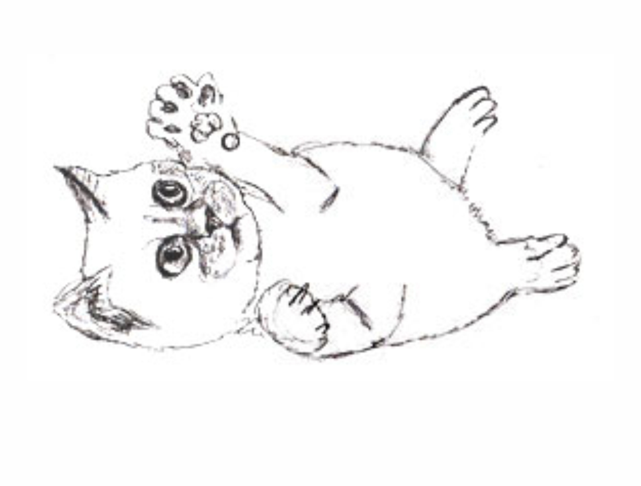 Урок рисования: Как нарисовать котенка поэтапно карандашом. 4 этап