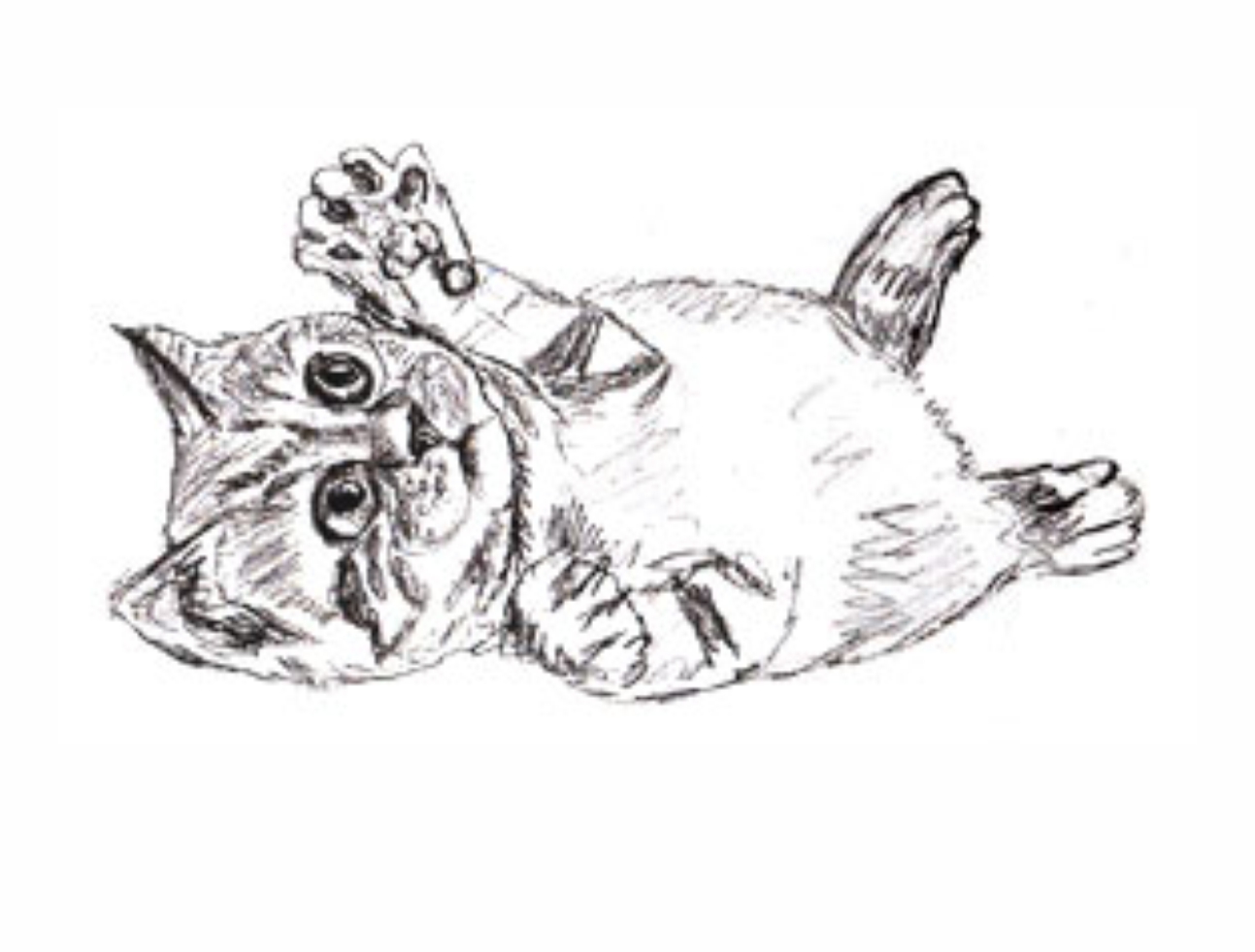 Урок рисования: Как нарисовать котенка поэтапно карандашом. 5 этап