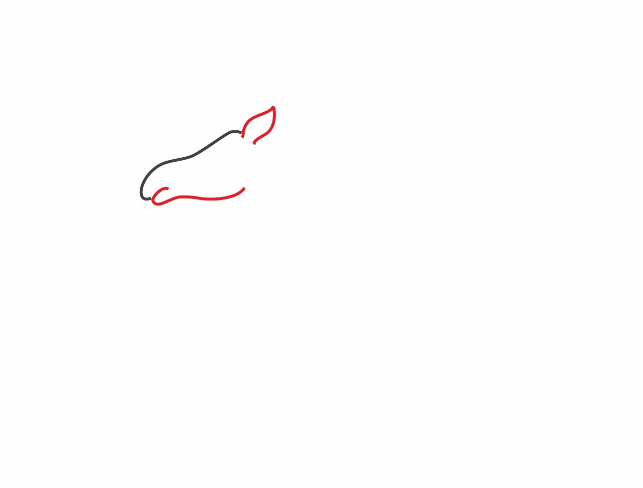 Урок рисования: Как нарисовать лося поэтапно карандашом. Этап 2.