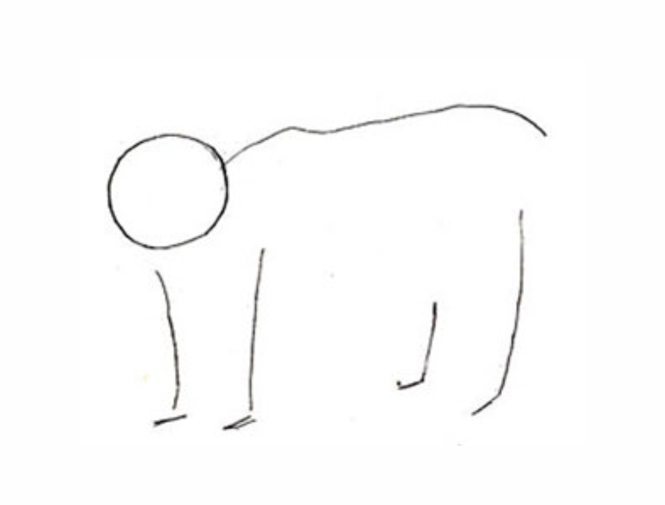 Урок рисования: Как нарисовать медведя поэтапно карандашом. 1 этап.