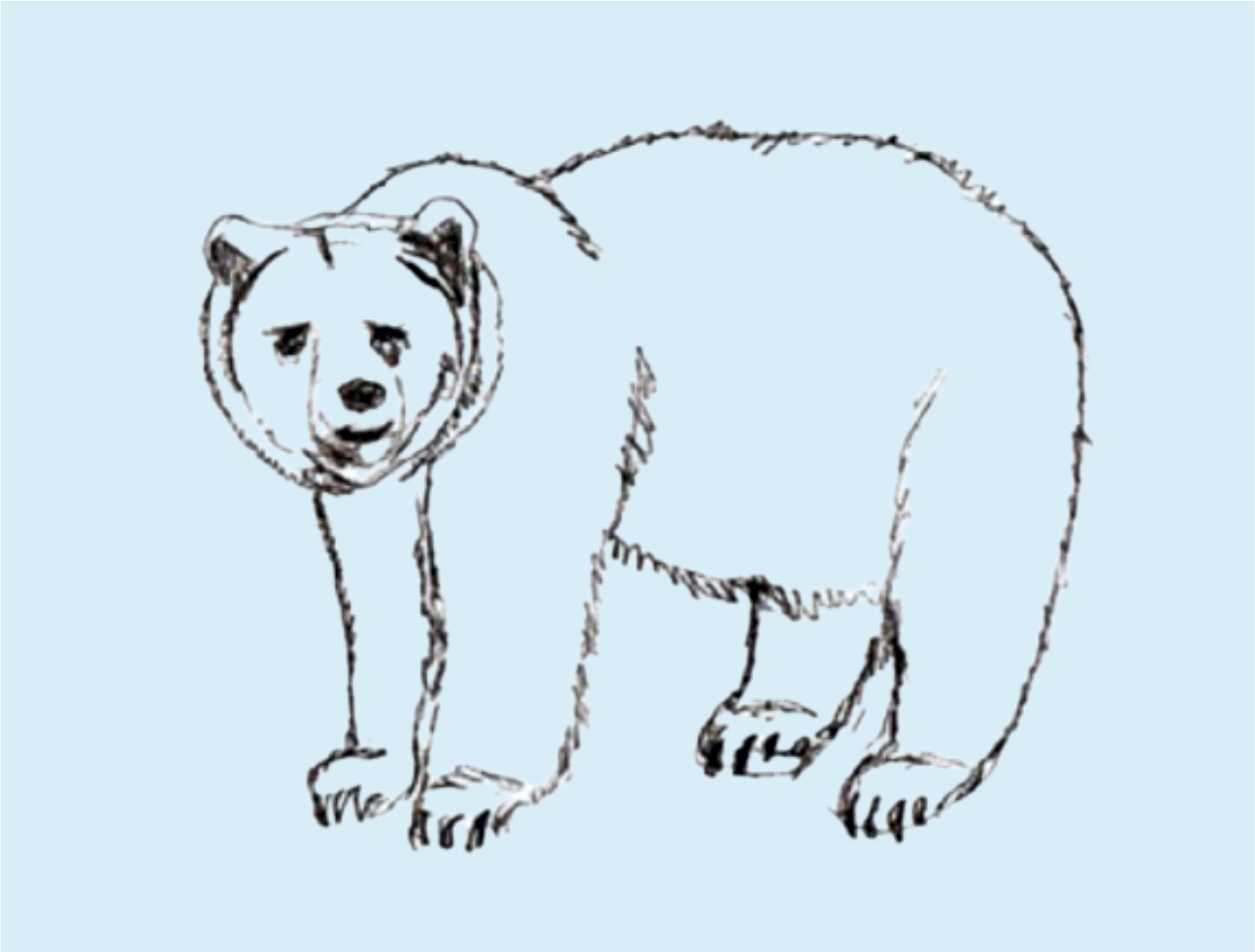 Урок рисования: Как нарисовать медведя поэтапно карандашом
