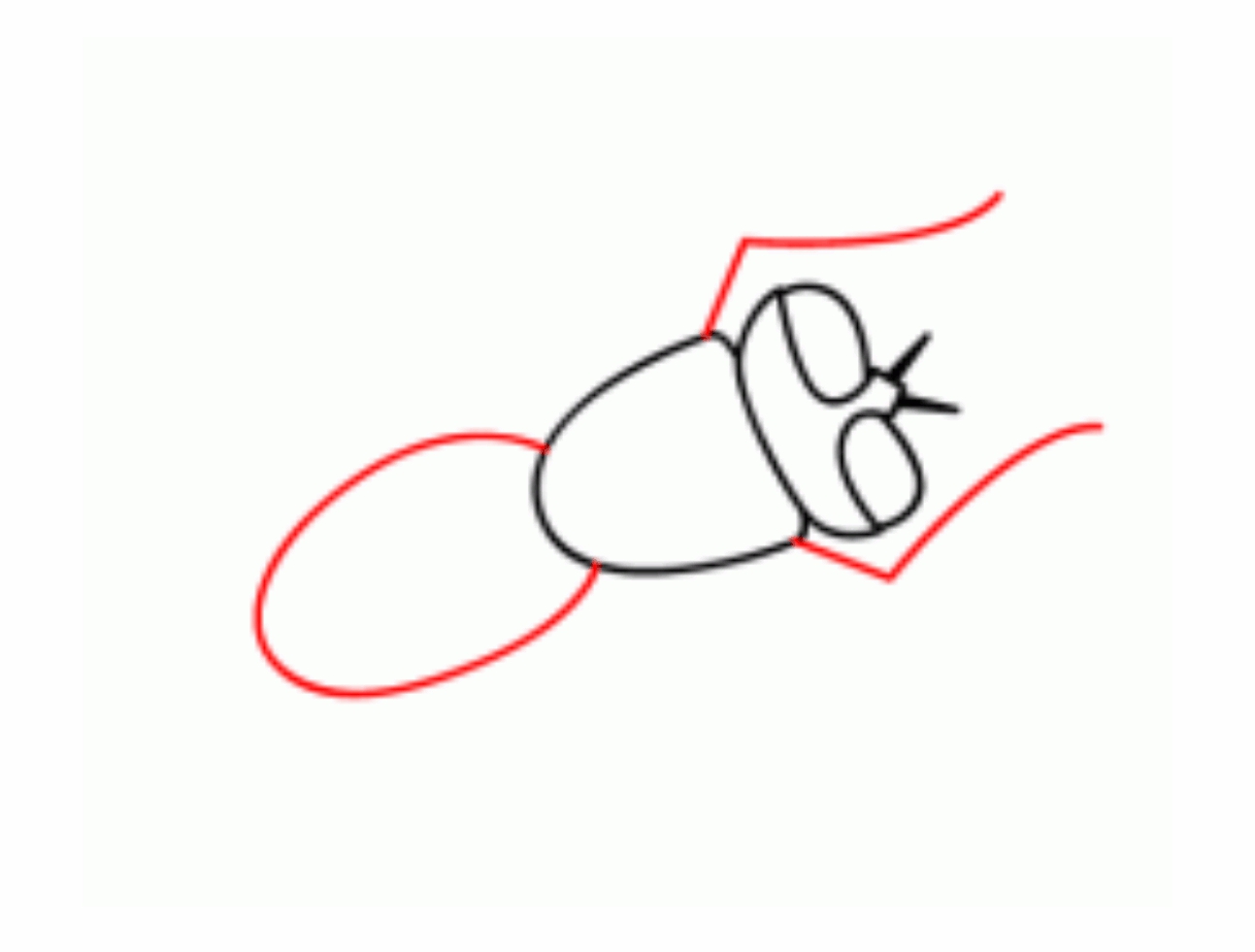 Урок рисования: Как нарисовать муху поэтапно карандашом. 5 этап.