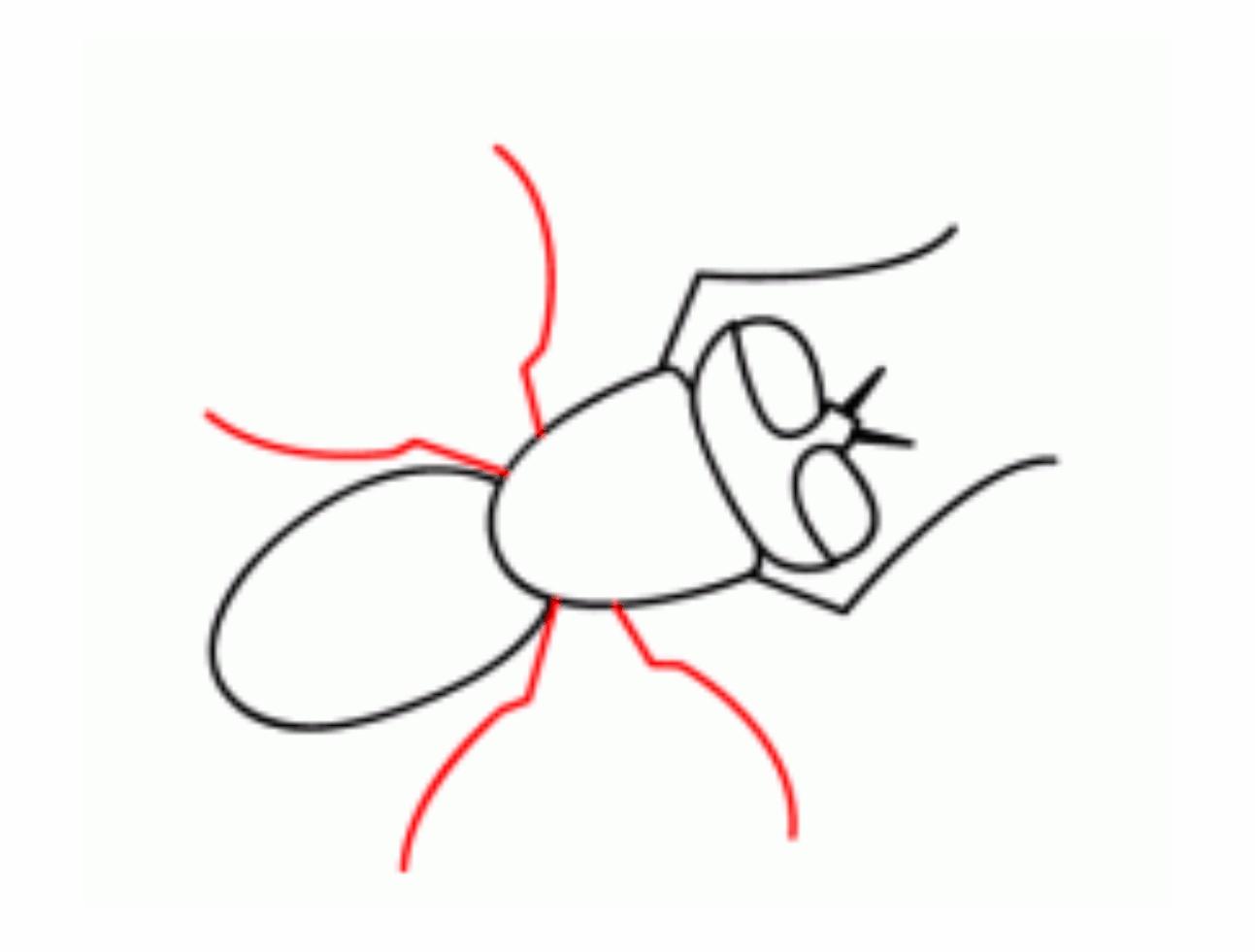 Урок рисования: Как нарисовать муху поэтапно карандашом. 6 этап.