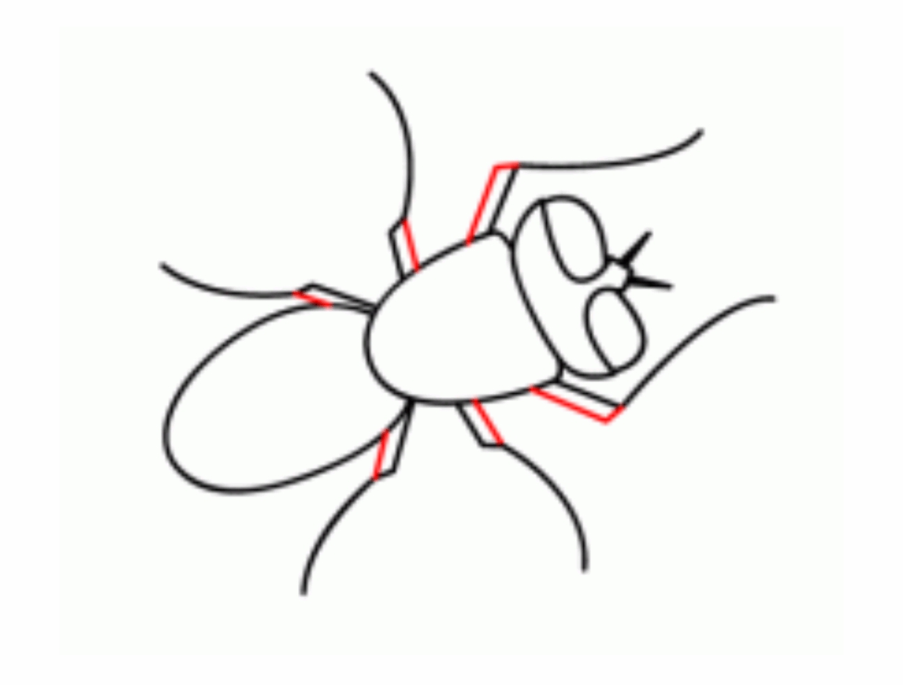 Урок рисования: Как нарисовать муху поэтапно карандашом. 7 этап.