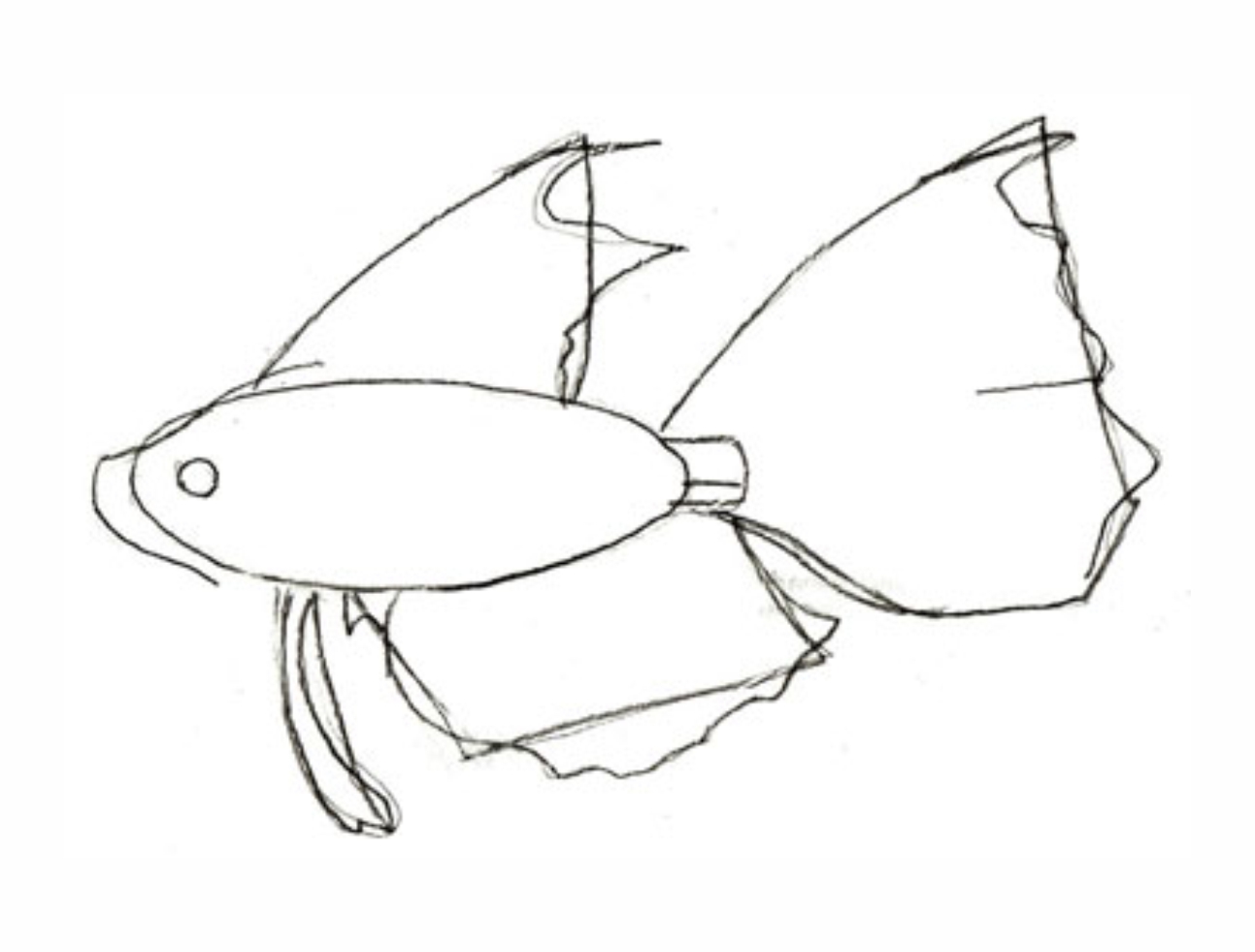 Урок рисования: Как нарисовать рыбу поэтапно карандашом. 2 этап.