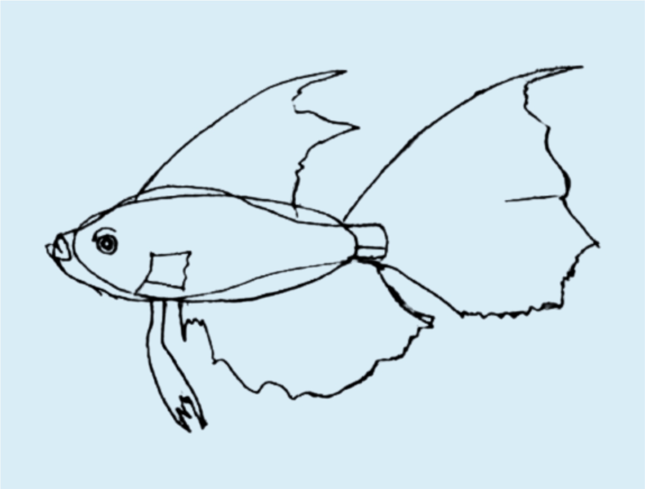 Урок рисования: Как нарисовать рыбу поэтапно карандашом