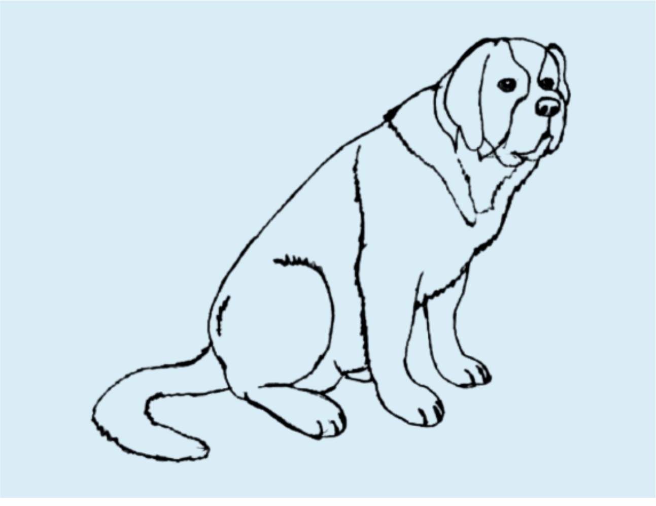 Урок рисования: Как нарисовать собаку поэтапно карандашом