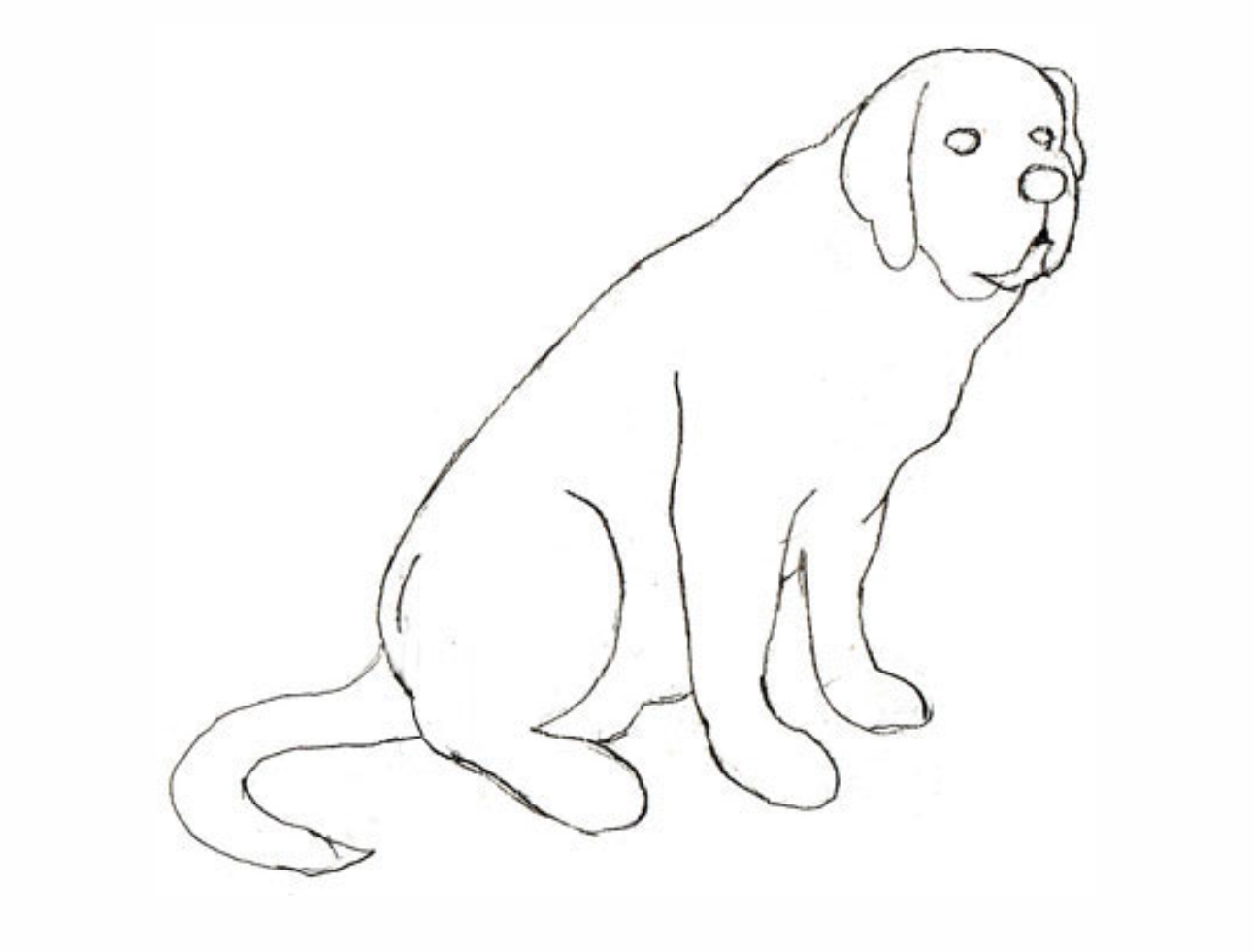 Урок рисования: Как нарисовать собаку поэтапно карандашом. 4 этап.