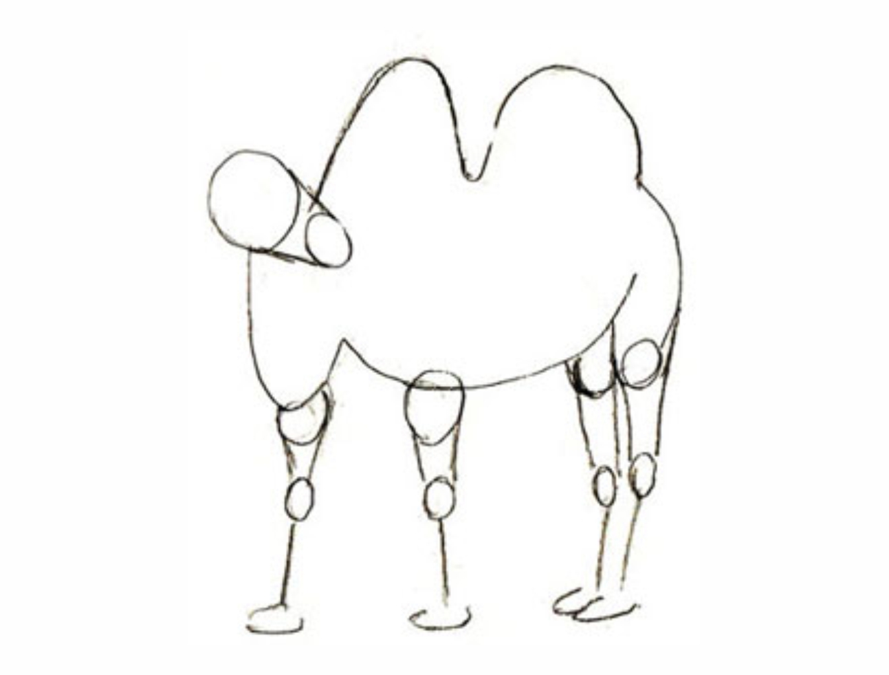 Урок рисования: Как нарисовать верблюда поэтапно карандашом. 3 этап.